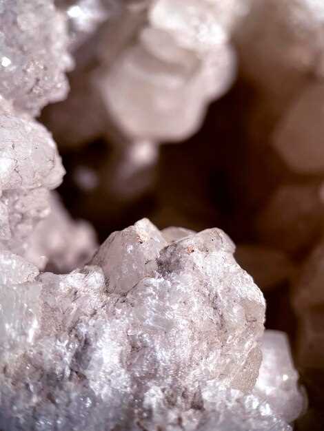 Lowering the Risk of Heart Disease