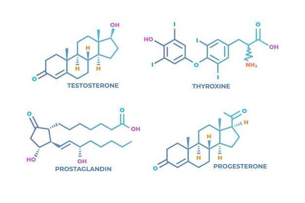 Atorvastatin pharmacokinetics