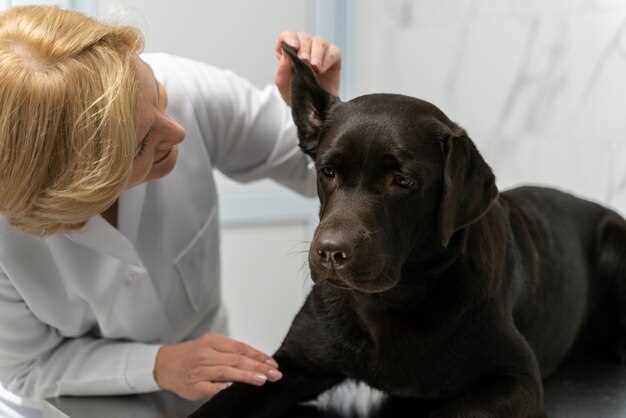 Benefits of Dog Levothyroxine 0.8