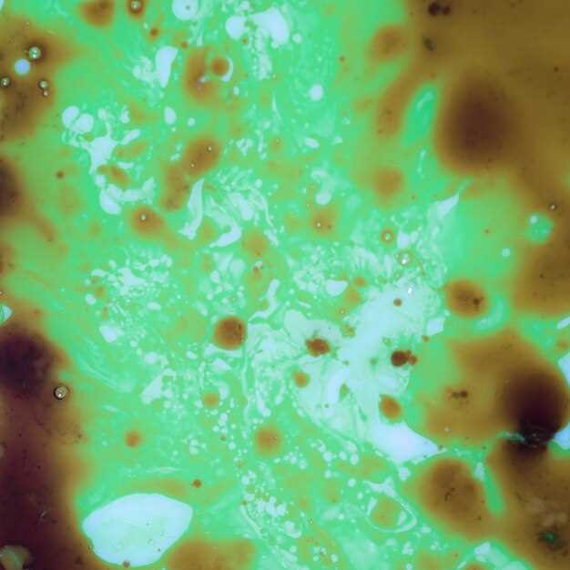 How does atorvastatin work?