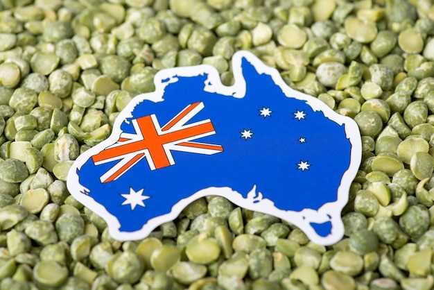 Fast and Discreet Delivery