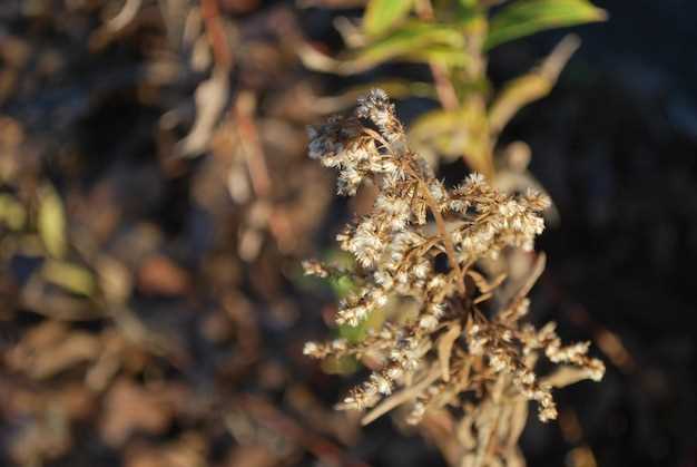 Causes of Hives with Finasteride Use