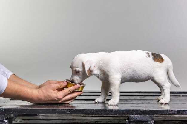 3. Increased Comfort