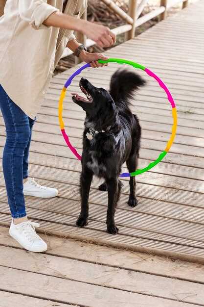 Is gabapentin safe for dogs?