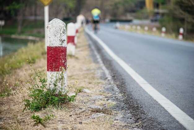 Improved Bioavailability