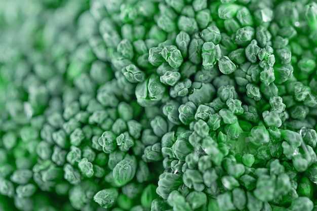 Potential side effects and precautions