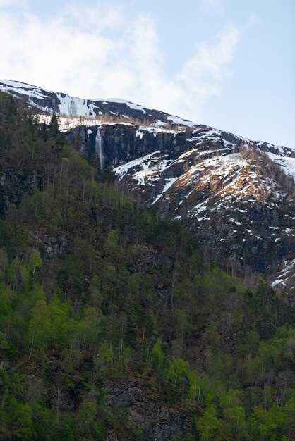 5. Overall Cardiovascular Protection