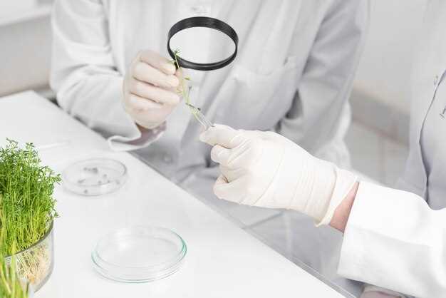 Promotes Hair Growth