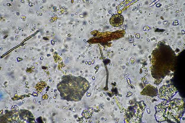 Understanding the side effects