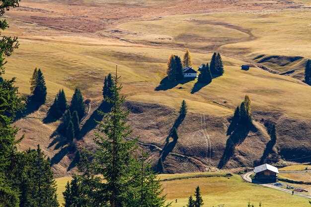 Minimal Side Effects